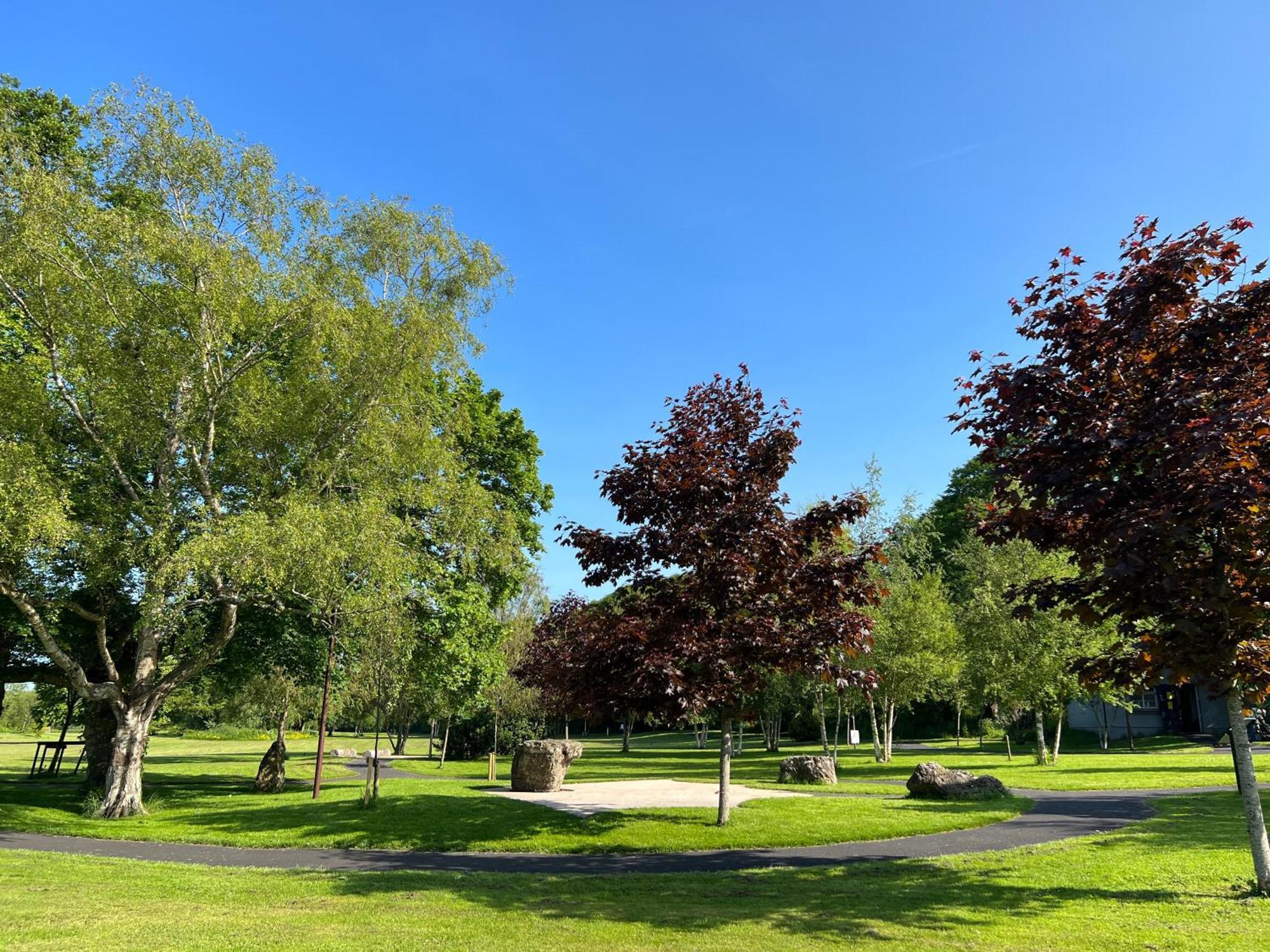 'Maigue View' By The River Croom Eksteriør billede