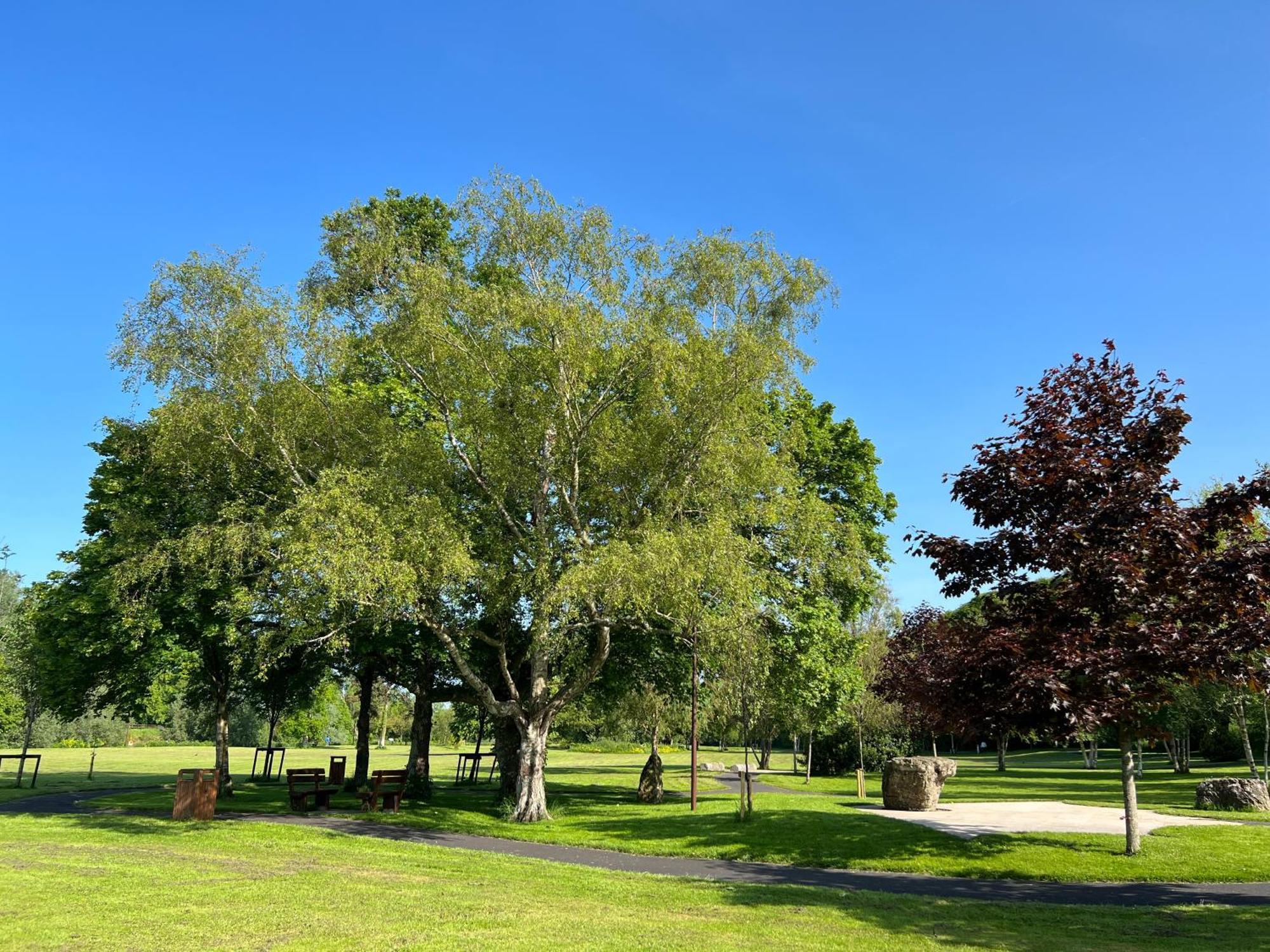 'Maigue View' By The River Croom Eksteriør billede