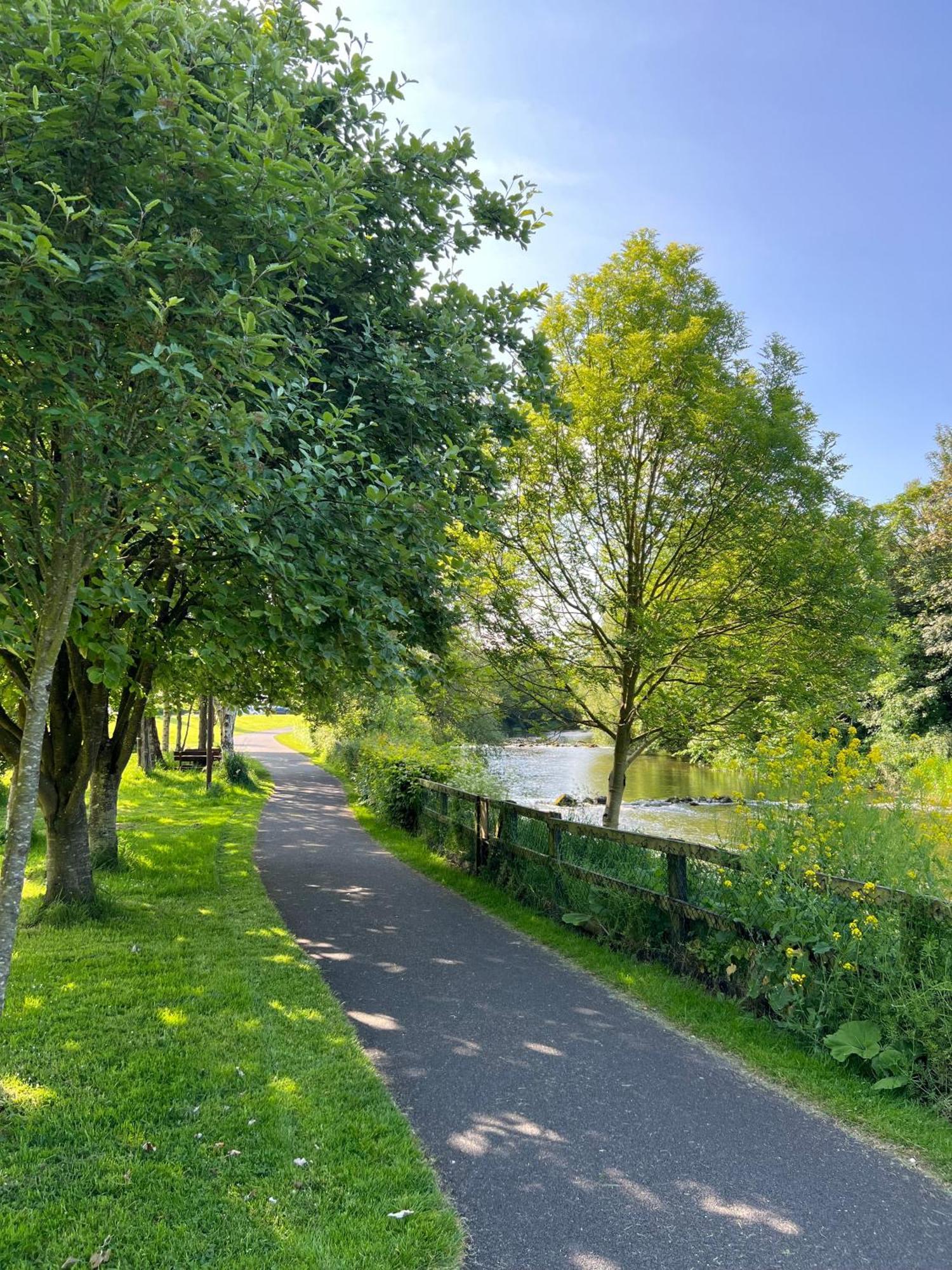 'Maigue View' By The River Croom Eksteriør billede